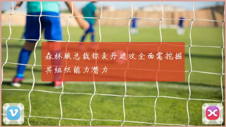 森林狼总裁称麦丹进攻全面需挖掘其组织能力潜力