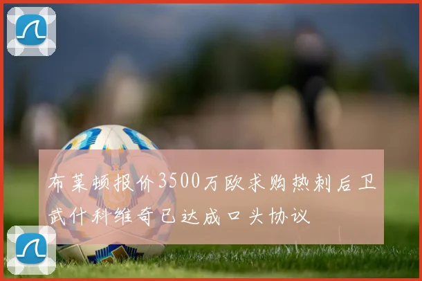 布莱顿报价3500万欧求购热刺后卫武什科维奇已达成口头协议